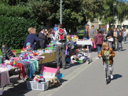 IMG 3028 - Kopie