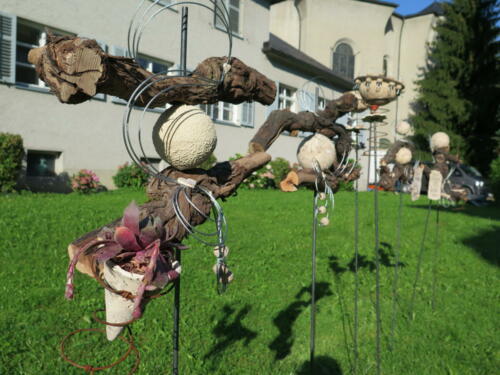 IMG 5037 (1)