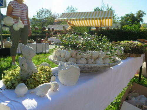 IMG 5076 (1)