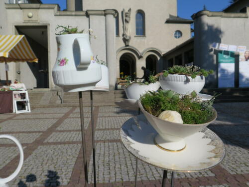 IMG 5095 (1)