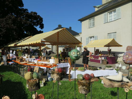 IMG 5099 (1)