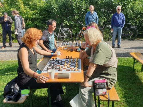 Schach im Park 18.9.2021 (1)