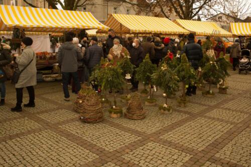 VorkloeschtnerAM21 (66) (1)